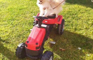 Studio Giannis, a breath away from Athens! - Foto 69