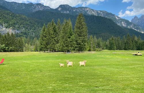 Palazzo Cervesato Appartamento: Maria Luisa - Photo 32