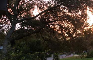 Sanford Lake Mary Quiet Rooms - Foto 20