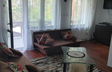 Domek w Borach Tucholskich - Wycinki - Foto 30