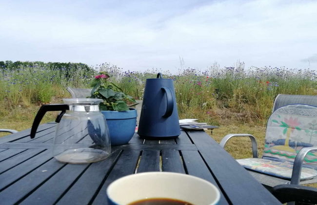 "Helmi" - 1km from the sea - Photo 10