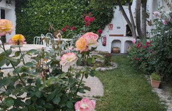 LOS SUEÑOS DE BUENDÍA - Foto 7