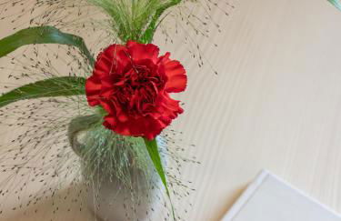 Dianthus Apartment - Photo 17