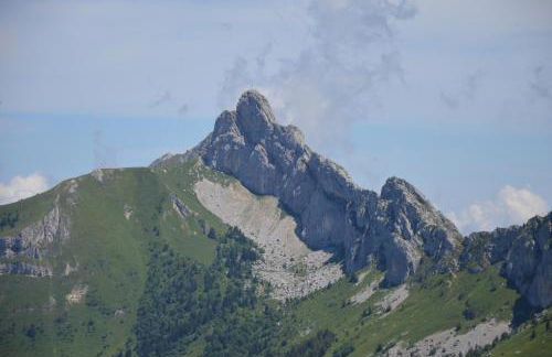 VILLARD DE LANS - Foto 4