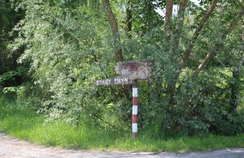 Gospodarstwo Agroturystyczne Stary Młyn Wilczkowice - Foto 10