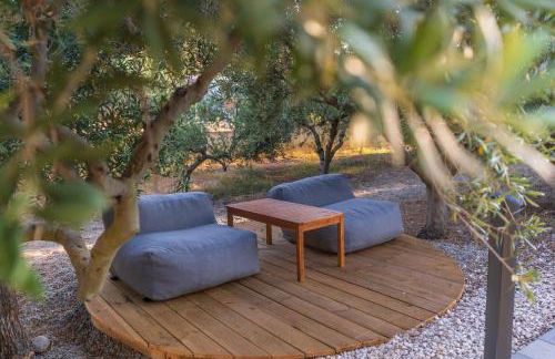 Armandiola - Foto 10