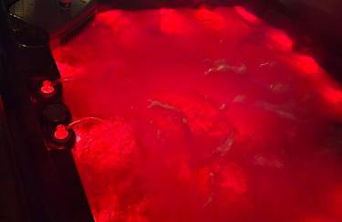 Holiday home Villa Mira - Foto 19