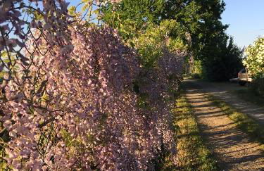 VIGORSO 41 COUNTRY HOUSE - Photo 22