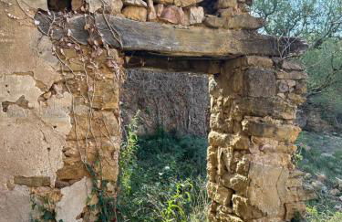 Ca l'Oreneta - Foto 53