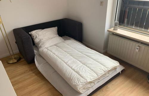 Gemütliche Ferienwohnung Harz Braunlage Hohegeiß - Foto 14