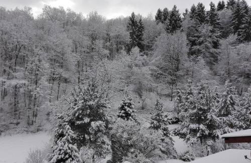 Ferienwohnung Zenzen - Foto 30