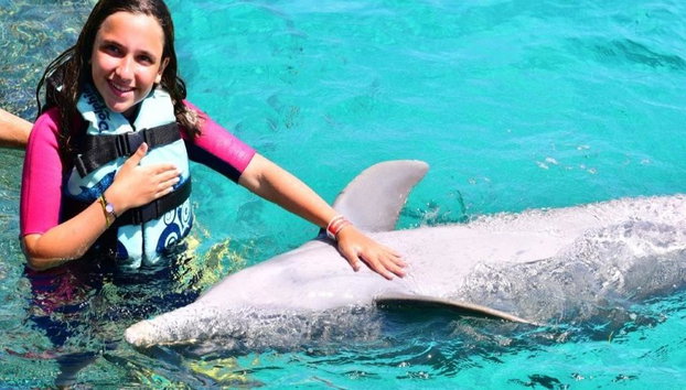 Nado con delfines Royal en la playa de Maroma - Foto 5