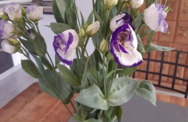 Villa " Les Bambous " , Jardin , Terrasse , Climatisation , Wifi , Parking - Photo 21