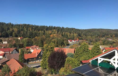 Ferienhaus zur Waldauer Höhe mit 3 SZ, 120qm & 40qm Balkon - Foto 38