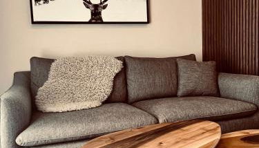 les colibris - Foto 2