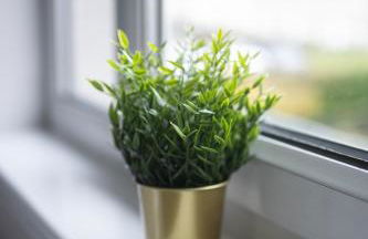 Bank House - Foto 37