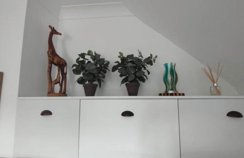 Top of the House - Photo 6