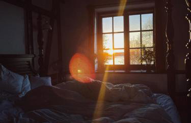 Dzikie Historie Młynik - Photo 2