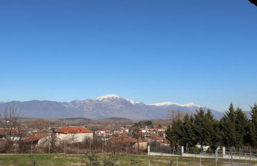 Villa Despina-Aloro-Loutra Pozar - Photo 8