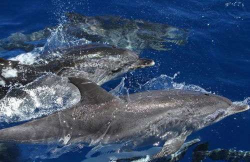 Casa las Dunas - Foto 49