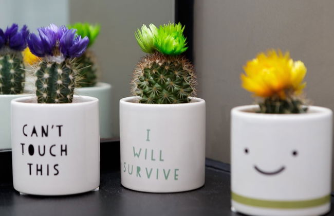 Live in Leeds Sky Penthouse - Photo 30