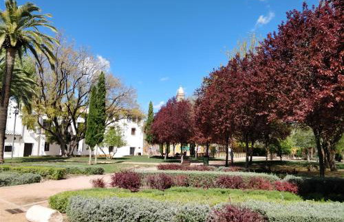 El rincón de Orive - Foto 28