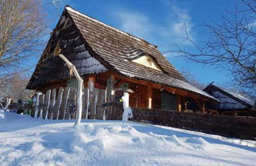 Jabłoniowy Sad Kalwaria Pacławska - Foto 6