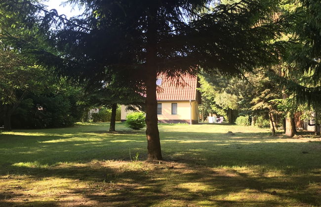Ferienhaus Mirow-Lärz - Kamin Wald Ruhe - Foto 26