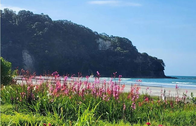 Beachpoint Apartments - Foto 33