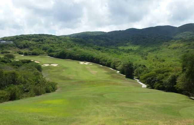 Ocho Rios Villa at the Palms II - Photo 19