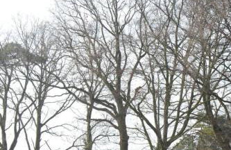 Apartment in Bedburg-Hau by Interhome - Foto 16