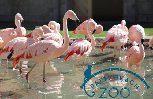 Close to everything! Perfect basecamp for WPB - Foto 21