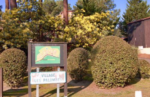 Maison avec jardinet, piscine commune à Lacanau océan - Foto 22