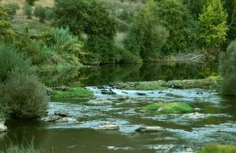 Casa Dos Lagares De Vara E Pedra - Foto 13