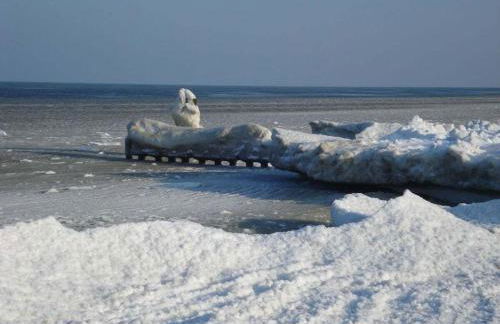 Dreamtime Fam Zimmermann - Foto 15