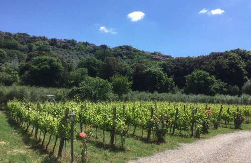 wine apartment le sedici - Foto 59