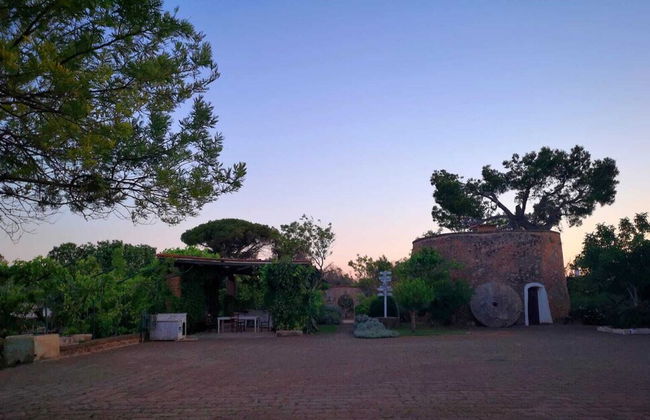 Masseria Provenzani - Photo 72