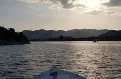 Apartments Damić - Photo 44