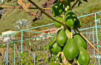 Casa Victor - Foto 7