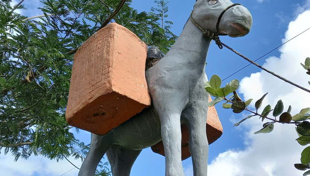 Paseando por los campos de Criúva