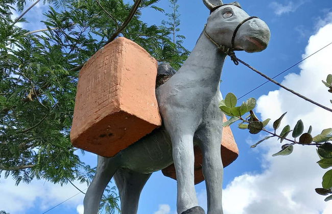 Senderismo por los campos de Criúva - Foto 5