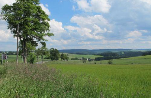 Grünes Ferienhaus - Foto 36