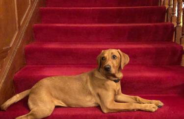 Tigh na Sgiath Country House Hotel - Foto 31