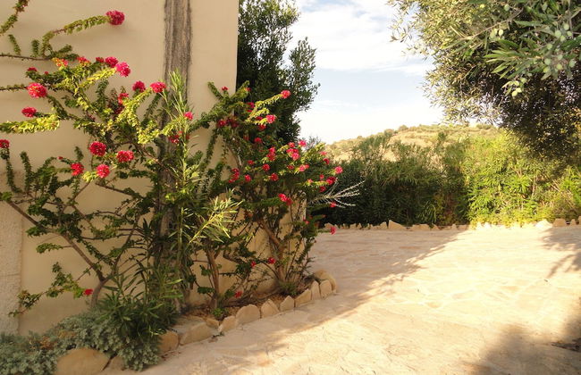 Villa Dafni - Foto 44