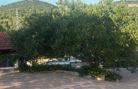 Grande Rosa - Foto 27