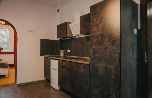 Szczytny Zakątek Apartamenty - Foto 25