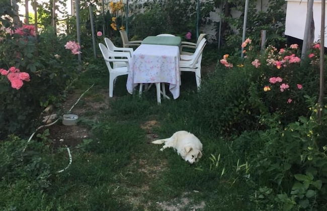 Ugurevler Apart - Photo 36