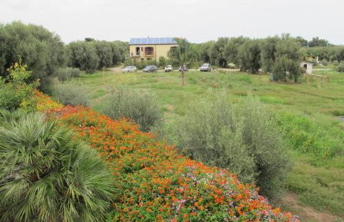 Stella Di Sicilia - Foto 16