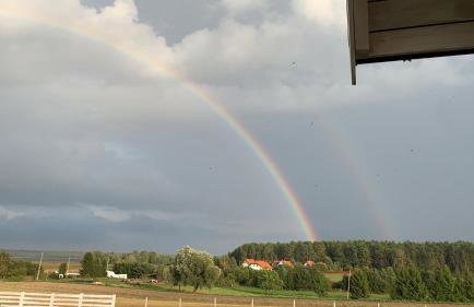 Giżycko-Przerwanki Domki Widok na Mazury - Foto 21