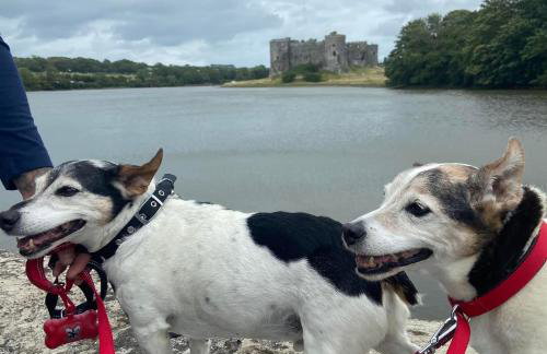 Adorable bedsit for you, partner and your pet! - Foto 40